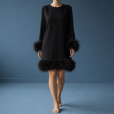 Camogli Feather Trim Mini Dress in Black